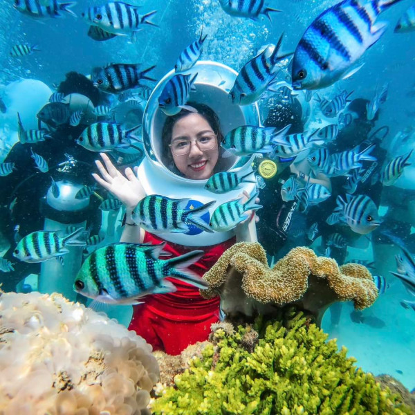 Vé đi bộ dưới biển tại du thuyền + Xe + Cano đưa đón tại Phú Quốc